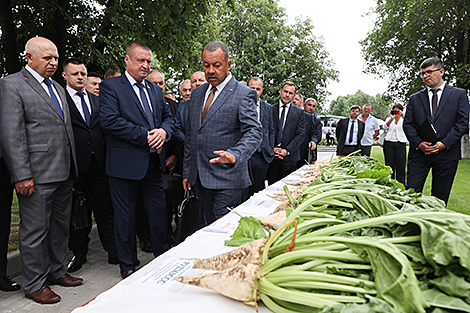 Сахарные заводы Беларуси за семь лет экспортировали продукции на $1,4 млрд