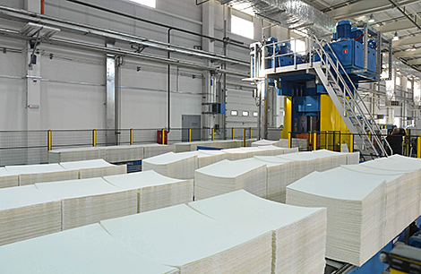 Светлогорский ЦКК в I полугодии увеличил продажи сульфатной беленой целлюлозы на 85,7%
