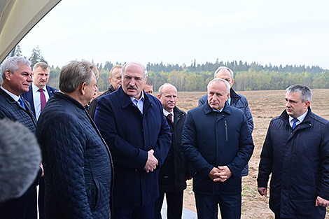 Урожай зерновых в Беларуси в этом году составит 10,3 млн т