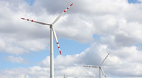 Крупнейший в Беларуси ветропарк построит турецкий инвестор