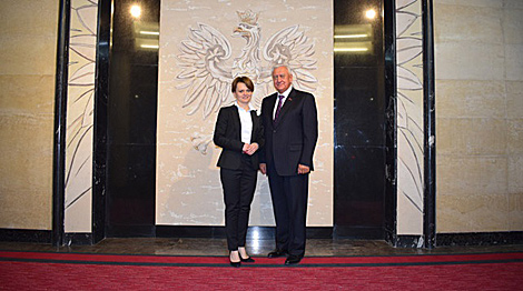 Польша заинтересована в импорте лесных материалов из Беларуси