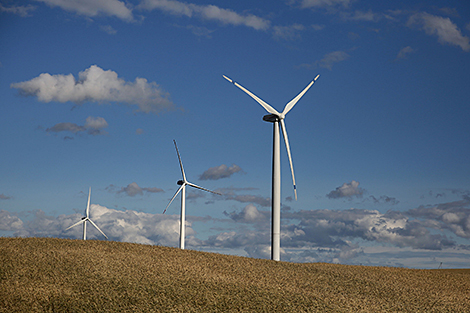 В Беларуси растет использование 