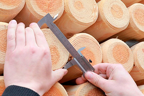 Продажи круглого леса через БУТБ в январе-октябре выросли на 23%