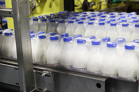 Лукашенко: Беларусь в 2025 году рассчитывает получить рекордные более $9 млрд от экспорта продовольствия