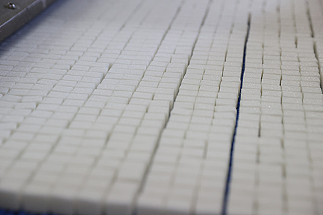 Казахстан заинтересован в поставках белорусского сахара и технологиях его производства