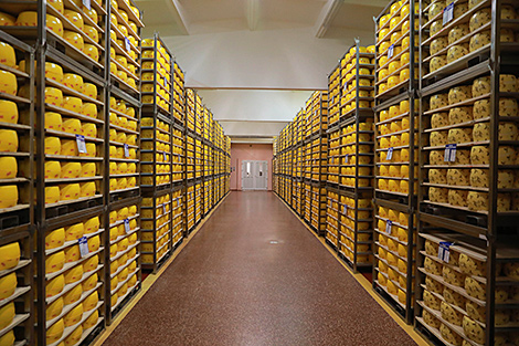 Беларусь экспортирует сыры более чем в 20 стран