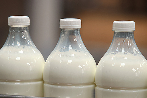 Беларусь в 2024 году экспортировала 6 млн тонн молока и молочных продуктов в 69 стран