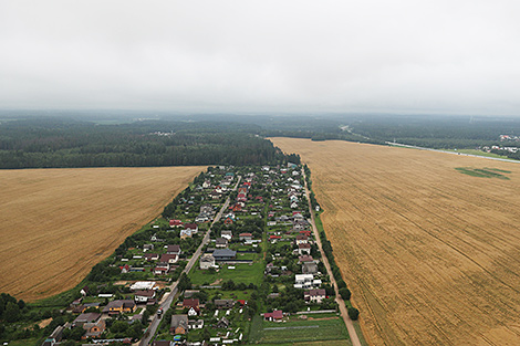 В Беларуси работают над внедрением агродронов в промышленных масштабах