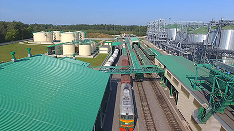 Число резидентов СЭЗ в 2022 году увеличилось на 10%