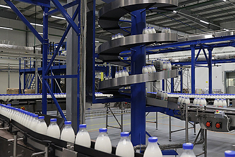 Лукашенко: отечественному АПК нужно кардинально снизить зависимость от импорта