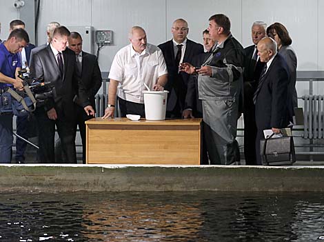 Лукашенко поручил актуализировать программу по развитию рыбохозяйственной деятельности