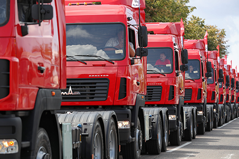 Более 80 организаций с белорусским капиталом осуществляют деятельность в Узбекистане