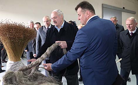 Лукашенко подчеркивает возможность рентабельной работы льняной отрасли