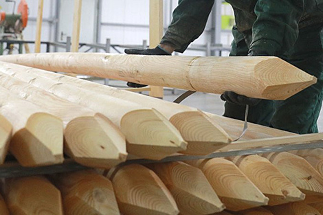 Более 30 белорусских специалистов прибыли в Уругвай для работы в крупнейшей в регионе компании UPM Uruguay