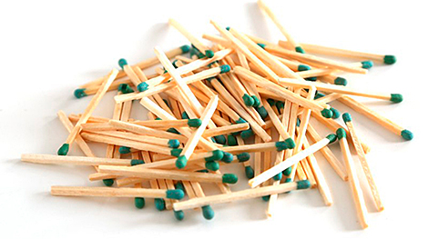 Инвестор из Конго создаст в Витебской области производство спичечной соломки