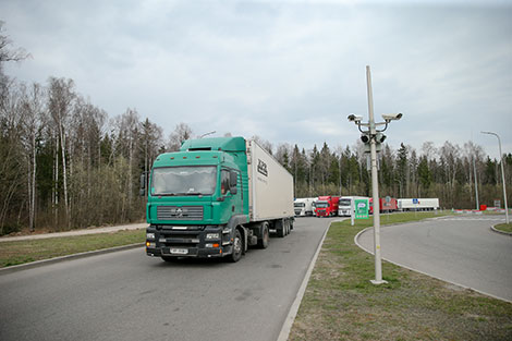 Экспорт белорусской сельхозпродукции в I квартале вырос на 9,8%