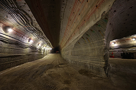 Индия намерена купить у Беларуси 1 млн т калийных удобрений в обход западных санкций