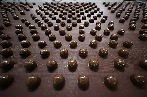 Импортозамещающее производство по переработке какао-бобов. У 
