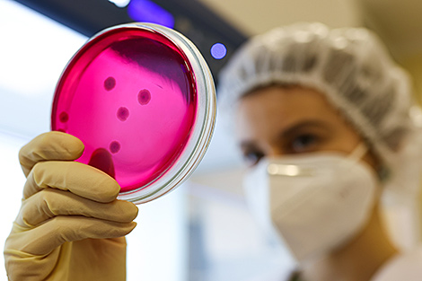 Центр биотехнологий открылся в НАН Беларуси