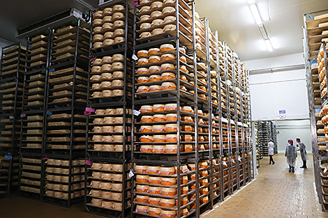 Брыло: на внутреннем рынке достаточно продовольственного сырья и товаров