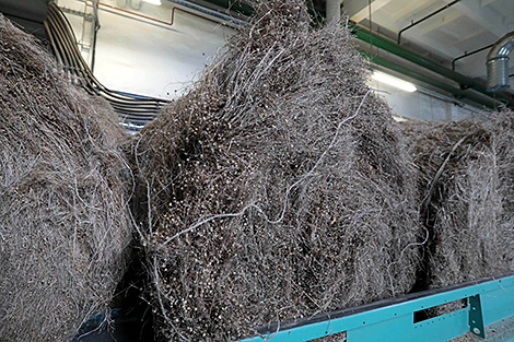 В Беларуси в этом году планируется получить 55 тыс. т льноволокна