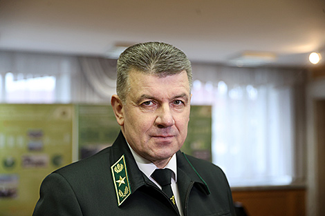 В прошлом году было создано 35 тыс. га новых лесов