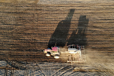 Лукашенко начал поездку в Бобруйск с положения дел в сельском хозяйстве