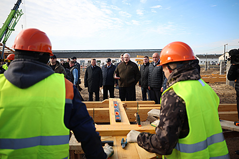 Узор для Палесся. Лукашэнку прадставілі праект доследнага будаўніцтва МТК з драўляных канструкцый