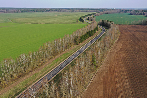 Лукашэнка праінспектаваў палі ў Віцебскай і Магілёўскай абласцях