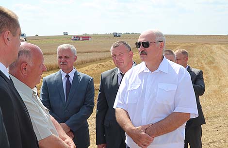 Лукашэнка: развіваць сваю сельскую гаспадарку Беларусі танней, чым імпартаваць прадукты харчавання