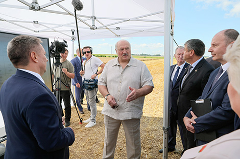 Лукашэнка аб уборачнай кампаніі: трэба паскарацца, чаго б ні каштавала