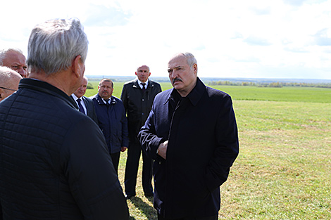 Лукашэнка: вопыт стварэння інтэграцыйных структур у АПК можа быць запатрабаваны ва ўсіх рэгіёнах Беларусі