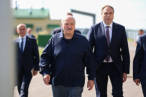 Лукашэнка даручыў выпрацаваць дакладную праграму па развядзенні ў Беларусі чырвонай пароды кароў