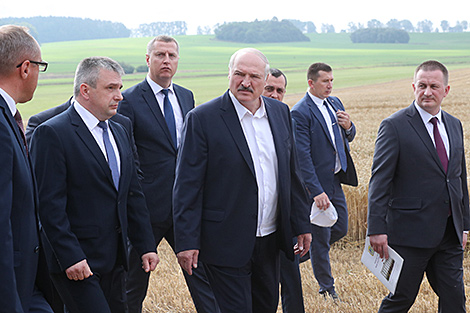 Лукашэнка пра разлікі на ўраджай: 9,5 млн т збожжа - мінімум, які павінны ўзяць у гэтым годзе