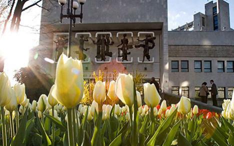 Музычны тэатр часова спыняе паказ спектакляў