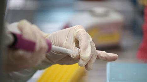 У Беларусі выздаравелі і выпісаны 74 982 пацыенты з COVID-19