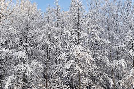 Інтэрактыўную карту асабліва ахоўных прыродных тэрыторый распрацоўваюць у Беларусі