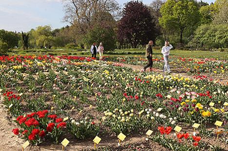Адналетнікі ад A да Z. Цэнтральны батанічны сад правядзе 28-29 ліпеня экскурсіі-практыкумы