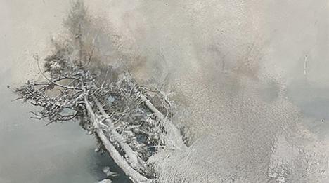 Жывапіс без ліній і межаў: выставу карцін у тэхніцы сфумата прадставяць у Мінску