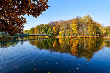 Як мяняецца клімат у Беларусі з-за глабальнага пацяплення, расказалі ў Белгідрамеце