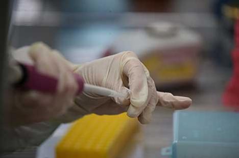 За суткі ў Беларусі зарэгістраваны 323 пацыенты з COVID-19