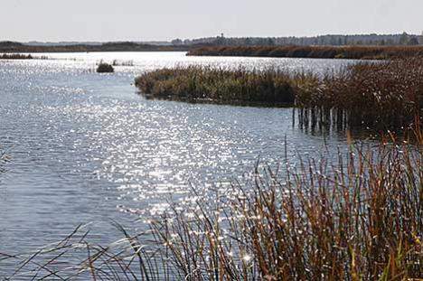 Беларускія школьнікі сталі пераможцамі Расійскага юніёрскага воднага конкурсу