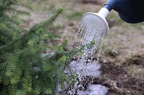 Рэспубліканскі суботнік пройдзе ў Беларусі 22 красавіка