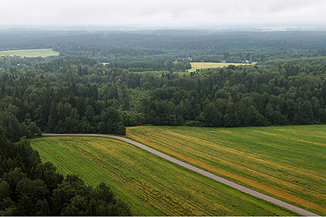 Лукашэнка: у Беларусі ўстановяць поўную забарону на адчужэнне зямель сельгаспрызначэння