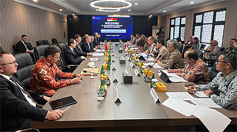 Беларусь і Інданезія распрацоўваюць дарожную карту супрацоўніцтва на пяць гадоў