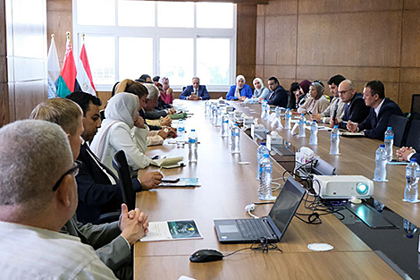 Беларусь і Егіпет дамовіліся аб актывізацыі дыялогу ў біржавой сферы