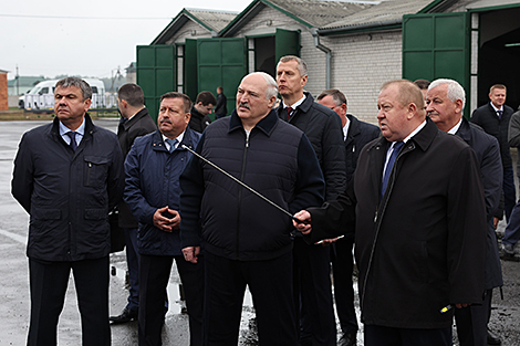 Лукашэнка аб рабоце сельгаспрадпрыемства 