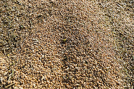 У 2025 годзе на ЗАТ 