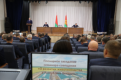 Лукашэнка аб прадаўжэнні мадэрнізацыі аб'ектаў у АПК: нам патрэбны не фермы, а малочнатаварныя комплексы