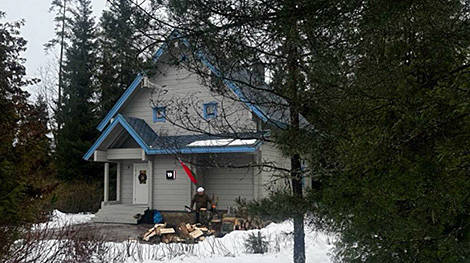 Лукашэнка расказаў, чаму вырашыў пасячы дровы перад самітам ЕАЭС